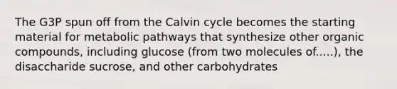 The G3P spun off from the Calvin cycle becomes the starting material for metabolic pathways that synthesize other organic compounds, including glucose (from two molecules of.....), the disaccharide sucrose, and other carbohydrates