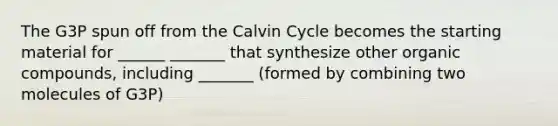 The G3P spun off from the Calvin Cycle becomes the starting material for ______ _______ that synthesize other organic compounds, including _______ (formed by combining two molecules of G3P)