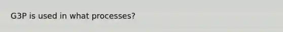 G3P is used in what processes?