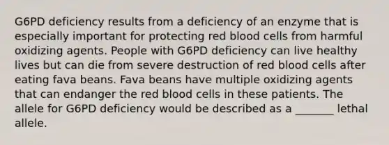 G6PD deficiency results from a deficiency of an enzyme that is especially important for protecting red blood cells from harmful oxidizing agents. People with G6PD deficiency can live healthy lives but can die from severe destruction of red blood cells after eating fava beans. Fava beans have multiple oxidizing agents that can endanger the red blood cells in these patients. The allele for G6PD deficiency would be described as a _______ lethal allele.