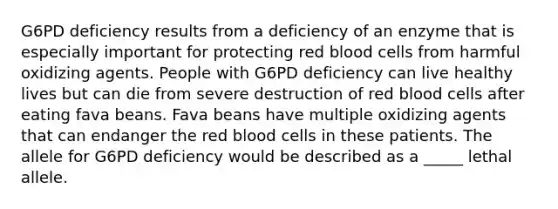 G6PD deficiency results from a deficiency of an enzyme that is especially important for protecting red blood cells from harmful oxidizing agents. People with G6PD deficiency can live healthy lives but can die from severe destruction of red blood cells after eating fava beans. Fava beans have multiple oxidizing agents that can endanger the red blood cells in these patients. The allele for G6PD deficiency would be described as a _____ lethal allele.