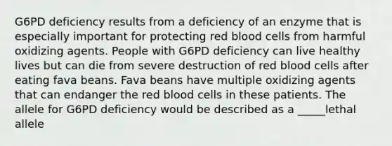 G6PD deficiency results from a deficiency of an enzyme that is especially important for protecting red blood cells from harmful oxidizing agents. People with G6PD deficiency can live healthy lives but can die from severe destruction of red blood cells after eating fava beans. Fava beans have multiple oxidizing agents that can endanger the red blood cells in these patients. The allele for G6PD deficiency would be described as a _____lethal allele