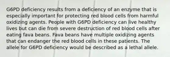 G6PD deficiency results from a deficiency of an enzyme that is especially important for protecting red blood cells from harmful oxidizing agents. People with G6PD deficiency can live healthy lives but can die from severe destruction of red blood cells after eating fava beans. Fava beans have multiple oxidizing agents that can endanger the red blood cells in these patients. The allele for G6PD deficiency would be described as a lethal allele.