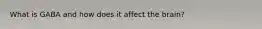 What is GABA and how does it affect the brain?