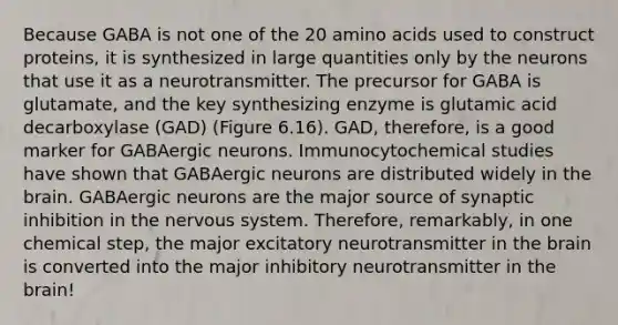 Because GABA is not one of the 20 amino acids used to construct proteins, it is synthesized in large quantities only by the neurons that use it as a neurotransmitter. The precursor for GABA is glutamate, and the key synthesizing enzyme is glutamic acid decarboxylase (GAD) (Figure 6.16). GAD, therefore, is a good marker for GABAergic neurons. Immunocytochemical studies have shown that GABAergic neurons are distributed widely in the brain. GABAergic neurons are the major source of synaptic inhibition in the nervous system. Therefore, remarkably, in one chemical step, the major excitatory neurotransmitter in the brain is converted into the major inhibitory neurotransmitter in the brain!