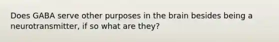 Does GABA serve other purposes in the brain besides being a neurotransmitter, if so what are they?