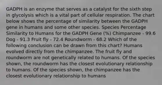 GADPH is an enzyme that serves as a catalyst for the sixth step in glycolysis which is a vital part of <a href='https://www.questionai.com/knowledge/k1IqNYBAJw-cellular-respiration' class='anchor-knowledge'>cellular respiration</a>. The chart below shows the percentage of similarity between the GADPH gene in humans and some other species. Species Percentage Similarity to Humans for the GADPH Gene (%) Chimpanzee - 99.6 Dog - 91.3 Fruit fly - 72.4 Roundworm - 68.2 Which of the following conclusion can be drawn from this chart? Humans evolved directly from the chimpanzee. The fruit fly and roundworm are not genetically related to humans. Of the species shown, the roundworm has the closest evolutionary relationship to humans. Of the species shown, the chimpanzee has the closest evolutionary relationship to humans