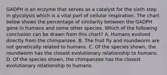 GADPH is an enzyme that serves as a catalyst for the sixth step in glycolysis which is a vital part of cellular respiration. The chart below shows the percentage of similarity between the GADPH gene in humans and some other species. Which of the following conclusion can be drawn from this chart? A. Humans evolved directly from the chimpanzee. B. The fruit fly and roundworm are not genetically related to humans. C. Of the species shown, the roundworm has the closest evolutionary relationship to humans. D. Of the species shown, the chimpanzee has the closest evolutionary relationship to humans.