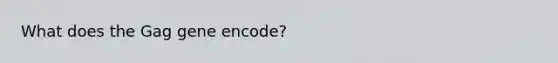 What does the Gag gene encode?