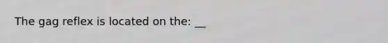 The gag reflex is located on the: __