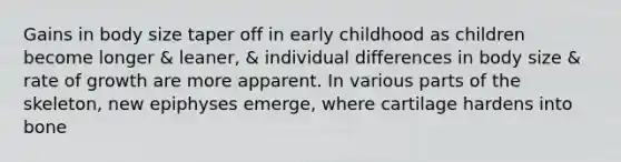 Gains in body size taper off in early childhood as children become longer & leaner, & individual differences in body size & rate of growth are more apparent. In various parts of the skeleton, new epiphyses emerge, where cartilage hardens into bone