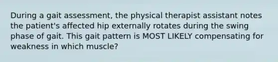 During a gait assessment, the physical therapist assistant notes the patient's affected hip externally rotates during the swing phase of gait. This gait pattern is MOST LIKELY compensating for weakness in which muscle?