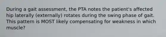 During a gait assessment, the PTA notes the patient's affected hip laterally (externally) rotates during the swing phase of gait. This pattern is MOST likely compensating for weakness in which muscle?