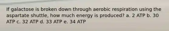 If galactose is broken down through <a href='https://www.questionai.com/knowledge/kyxGdbadrV-aerobic-respiration' class='anchor-knowledge'>aerobic respiration</a> using the aspartate shuttle, how much energy is produced? a. 2 ATP b. 30 ATP c. 32 ATP d. 33 ATP e. 34 ATP