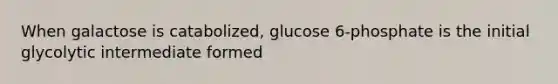 When galactose is catabolized, glucose 6-phosphate is the initial glycolytic intermediate formed