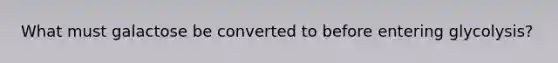 What must galactose be converted to before entering glycolysis?