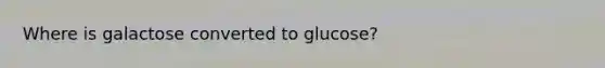 Where is galactose converted to glucose?