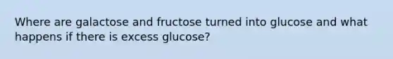 Where are galactose and fructose turned into glucose and what happens if there is excess glucose?