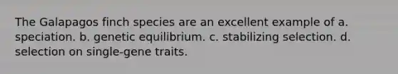 The Galapagos finch species are an excellent example of a. speciation. b. genetic equilibrium. c. stabilizing selection. d. selection on single-gene traits.