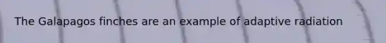 The Galapagos finches are an example of adaptive radiation