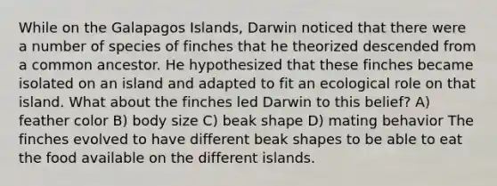 While on the Galapagos Islands, Darwin noticed that there were a number of species of finches that he theorized descended from a common ancestor. He hypothesized that these finches became isolated on an island and adapted to fit an ecological role on that island. What about the finches led Darwin to this belief? A) feather color B) body size C) beak shape D) mating behavior The finches evolved to have different beak shapes to be able to eat the food available on the different islands.