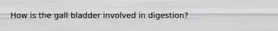 How is the gall bladder involved in digestion?