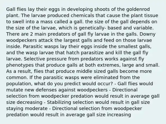 Gall flies lay their eggs in developing shoots of the goldenrod plant. The larvae produced chemicals that cause the plant tissue to swell into a mass called a gall. the size of the gall depends on the size of the larvae, which is genetically- based and variable. There are 2 main predators of gall fly larvae in the galls. Downy woodpeckers attack the largest galls and feed on those larvae inside. Parasitic wasps lay their eggs inside the smallest galls, and the wasp larvae that hatch parasitize and kill the gall fly larvae. Selective pressure from predators works against fly phenotypes that produce galls at both extremes, large and small. As a result, flies that produce middle sized galls become more common. If the parasitic wasps were eliminated from the population, what do you predict would occur? - Gall flies would mutate new defenses against woodpeckers - Directional selection from woodpecker predation would result in average gall size decreasing - Stabilizing selection would result in gall size staying moderate - Directional selection from woodpecker predation would result in average gall size increasing