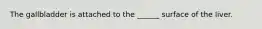 The gallbladder is attached to the ______ surface of the liver.