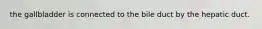 the gallbladder is connected to the bile duct by the hepatic duct.