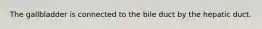The gallbladder is connected to the bile duct by the hepatic duct.