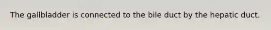 The gallbladder is connected to the bile duct by the hepatic duct.