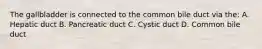 The gallbladder is connected to the common bile duct via the: A. Hepatic duct B. Pancreatic duct C. Cystic duct D. Common bile duct