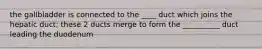 the gallbladder is connected to the ____ duct which joins the hepatic duct; these 2 ducts merge to form the __________ duct leading the duodenum