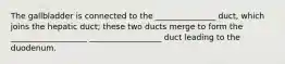 The gallbladder is connected to the _______________ duct, which joins the hepatic duct; these two ducts merge to form the ___________________ __________________ duct leading to the duodenum.