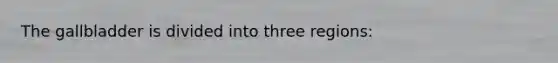 The gallbladder is divided into three regions: