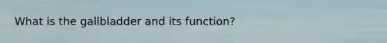 What is the gallbladder and its function?