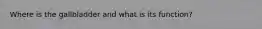 Where is the gallbladder and what is its function?