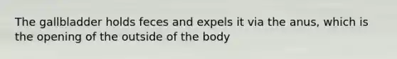 The gallbladder holds feces and expels it via the anus, which is the opening of the outside of the body