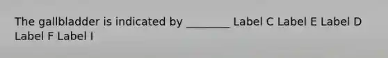 The gallbladder is indicated by ________ Label C Label E Label D Label F Label I