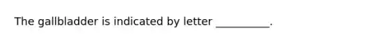 The gallbladder is indicated by letter __________.