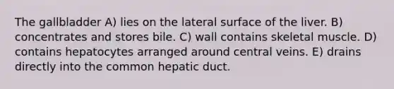 The gallbladder A) lies on the lateral surface of the liver. B) concentrates and stores bile. C) wall contains skeletal muscle. D) contains hepatocytes arranged around central veins. E) drains directly into the common hepatic duct.