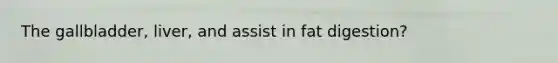 The gallbladder, liver, and assist in fat digestion?