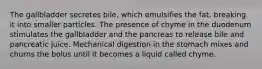 The gallbladder secretes bile, which emulsifies the fat, breaking it into smaller particles. The presence of chyme in the duodenum stimulates the gallbladder and the pancreas to release bile and pancreatic juice. Mechanical digestion in the stomach mixes and churns the bolus until it becomes a liquid called chyme.