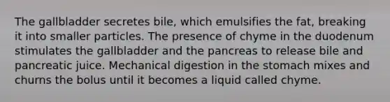 The gallbladder secretes bile, which emulsifies the fat, breaking it into smaller particles. The presence of chyme in the duodenum stimulates the gallbladder and the pancreas to release bile and pancreatic juice. Mechanical digestion in the stomach mixes and churns the bolus until it becomes a liquid called chyme.