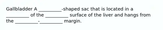 Gallbladder A __________-shaped sac that is located in a __________ of the __________ surface of the liver and hangs from the __________-__________ margin.