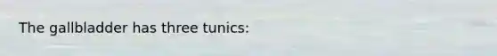 The gallbladder has three tunics: