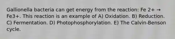 Gallionella bacteria can get energy from the reaction: Fe 2+ → Fe3+. This reaction is an example of A) Oxidation. B) Reduction. C) Fermentation. D) Photophosphorylation. E) The Calvin-Benson cycle.