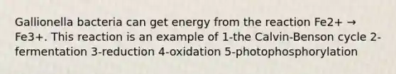 Gallionella bacteria can get energy from the reaction Fe2+ → Fe3+. This reaction is an example of 1-the Calvin-Benson cycle 2-fermentation 3-reduction 4-oxidation 5-photophosphorylation