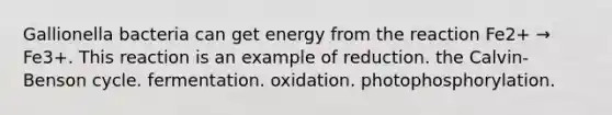 Gallionella bacteria can get energy from the reaction Fe2+ → Fe3+. This reaction is an example of reduction. the Calvin-Benson cycle. fermentation. oxidation. photophosphorylation.