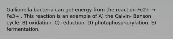 Gallionella bacteria can get energy from the reaction Fe2+ → Fe3+ . This reaction is an example of A) the Calvin- Benson cycle. B) oxidation. C) reduction. D) photophosphorylation. E) fermentation.